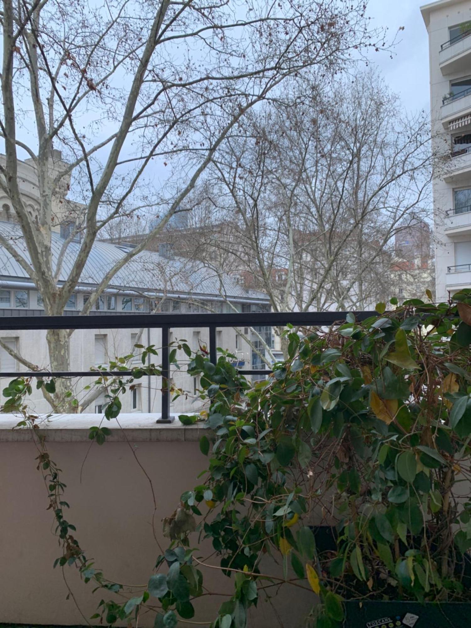 3 Triangle D'or Appartement